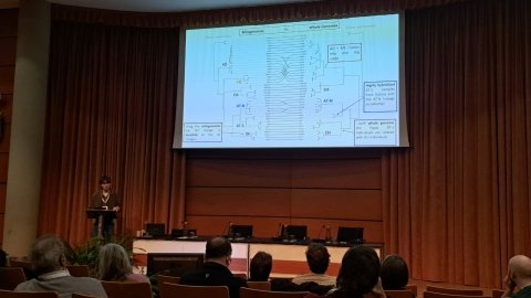 Participación en el X Congreso de la Sociedad Española de Biología Evolutiva (SESBE)