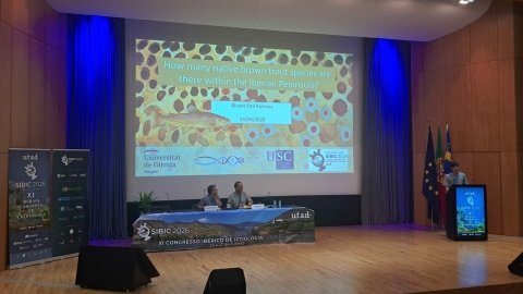 Participación en el XI Congreso de la Sociedad Ibérica de Ictiología (SIBIC 2026)